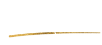 Paul Martin - Logo